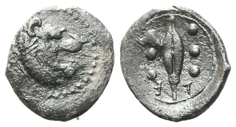 Sicily, Leontinoi, C. 455-430 Bc. Ar Hemilitron (10mm, 0.37g).