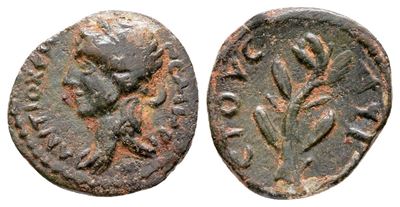 Seleukis And Pieria, Antioch. Pseudo-autonomous Issue, Time Of Antoninus Pius (138-161). Æ (14 MM...