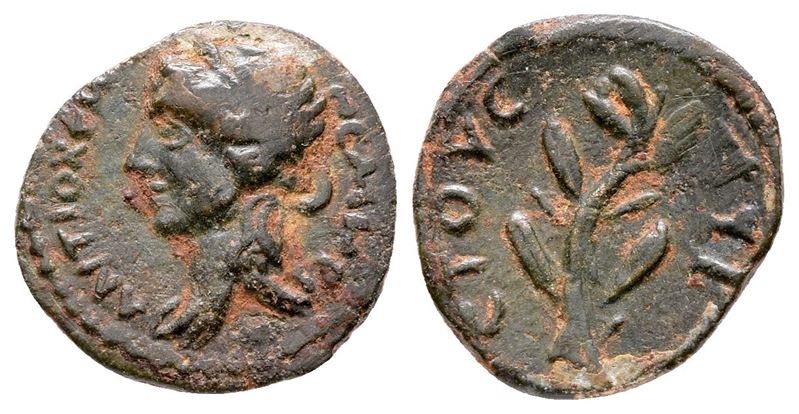 Seleukis And Pieria, Antioch. Pseudo-autonomous Issue, Time Of Antoninus Pius (138-161). Æ (14 MM...