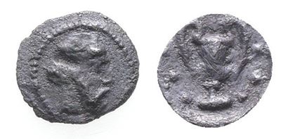 Sicily, Naxos, C. 461-430 Bc. Ar Hemilitron (7mm, 0.15).