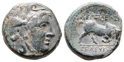 Seleukid Kings, Seleukos i (312-281 Bc). Æ (19mm, 6.95g).