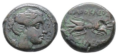 Sicily, Syracuse. Agathokles (317-289 Bc). Æ Litra (20mm, 7.95g).