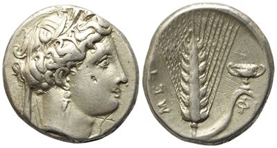 Lucania, Metapontion (C. 340-330 Bc), Nomos; Ar (7,22 G; 20 MM)