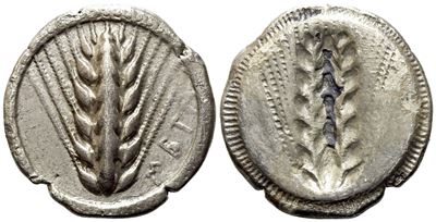 Lucania, Metapontion (C. 510-470 Bc), Nomos; Ar (7,90 G; 24,2 MM)