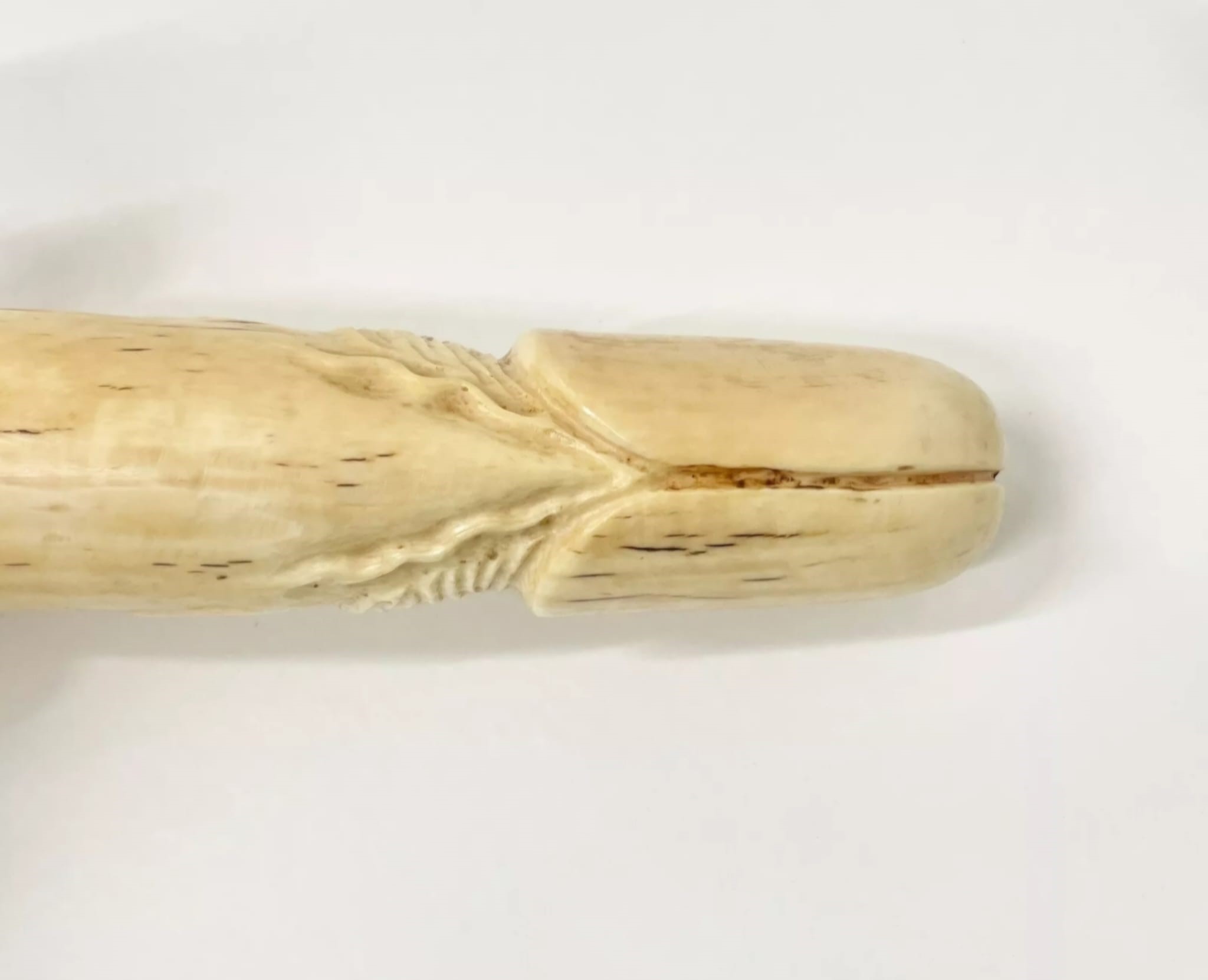 Fallo vittoriano inglese in avorio