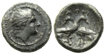 Bruttium, Laos (C. 350-300 Bc), Æ (2,75 G; 15 MM)