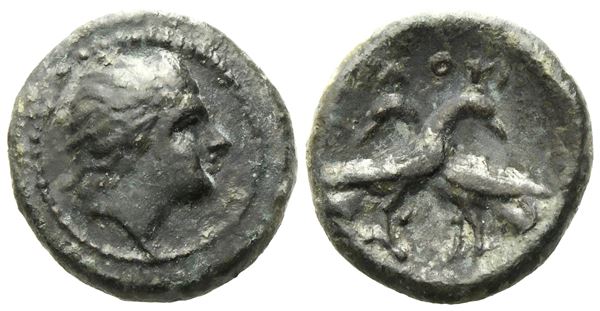 Bruttium, Laos (c. 350-300 BC), Æ (2,75 g; 15 mm)