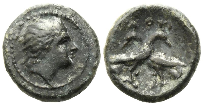 Bruttium, Laos (C. 350-300 Bc), Æ (2,75 G; 15 MM)