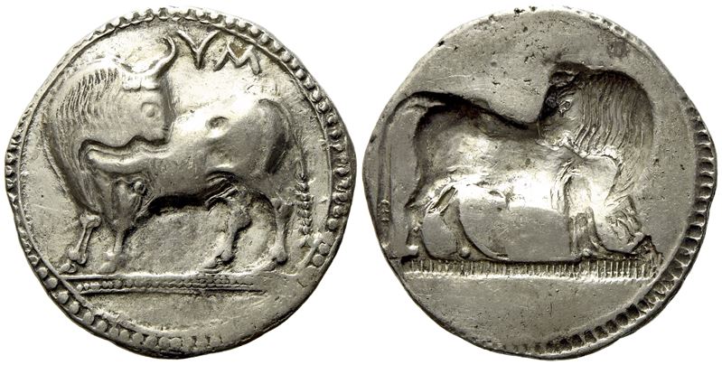 Lucania, Sybaris (C. 550-510 Bc), Stater; Ar (7,48 G; 27,4 MM)