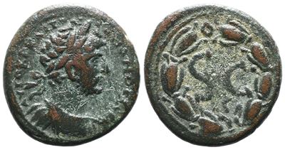 Hadrian (117-138). Seleucis And Pieria, Antioch. Æ