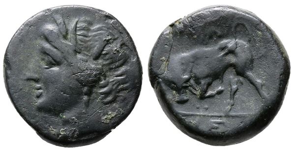 Sicily, Syracuse. Hieron II (275-215 BC). Æ (17mm, 4.75g)  - Auction Greek, Roman and Byzantine Coins	 - Bertolami Fine Art - Prague