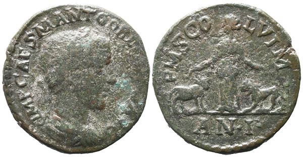 Gordian III (238-244). Moesia Superior, Viminacium. Æ
