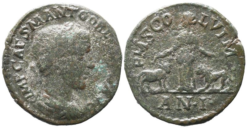 Gordian III (238-244). Moesia Superior, Viminacium. Æ