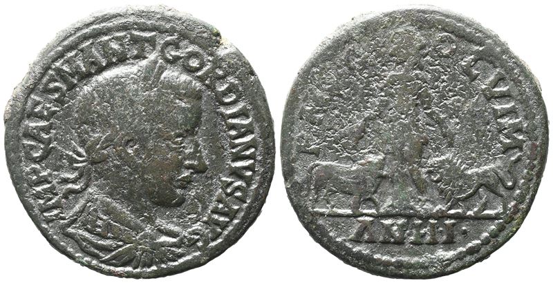 Gordian III (238-244). Moesia Superior, Viminacium. Æ
