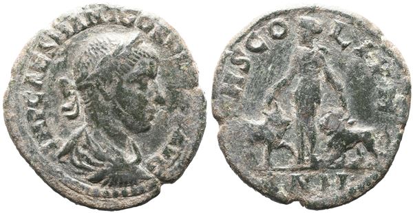 Gordian III (238-244). Moesia Superior, Viminacium. Æ