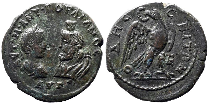 Gordian III (238-244). Moesia Inferior, Odessus. Æ Pentassarion