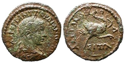 Gordian III (238-244). Thrace, Hadrianopolis. Æ