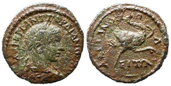Gordian III (238-244). Thrace, Hadrianopolis. Æ