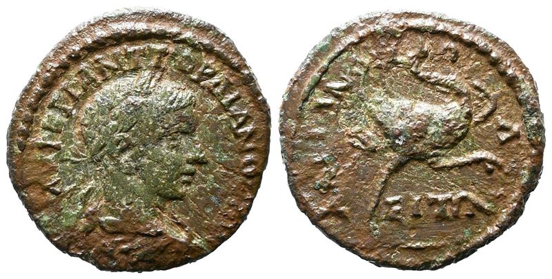 Gordian III (238-244). Thrace, Hadrianopolis. Æ