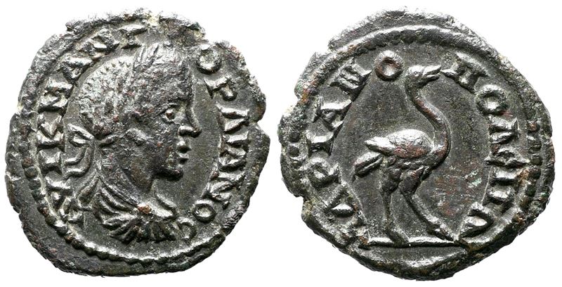 Gordian III (238-244). Thrace, Hadrianopolis. Æ