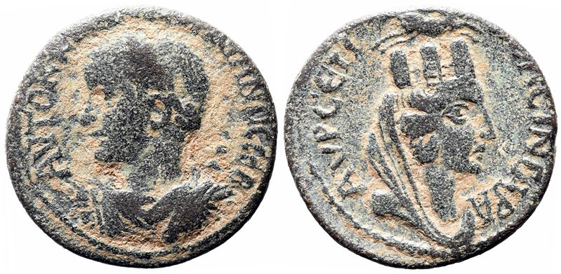 Gordian III (238-244). Mesopotamia, Singara. Æ