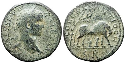 Severus Alexander (222-235). Pisidia, Antioch. Æ