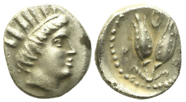 Islands off Karia, Rhodos (c. 275-250 BC), Diobol; AR (0,94 g; 10,1 mm)