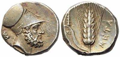 Lucania, Metapontion (C. 340-330 Bc), Nomos; Ar (8 G; 20 MM)