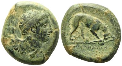 Sicily, Agyrion (C. 339-336 Bc), Hemilitron; Æ (17,90 G; 26,7 MM)