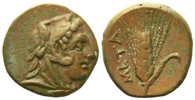 Lucania, Metapontion (C. 300-250 Bc), Æ (2,60 G; 14,2 MM)