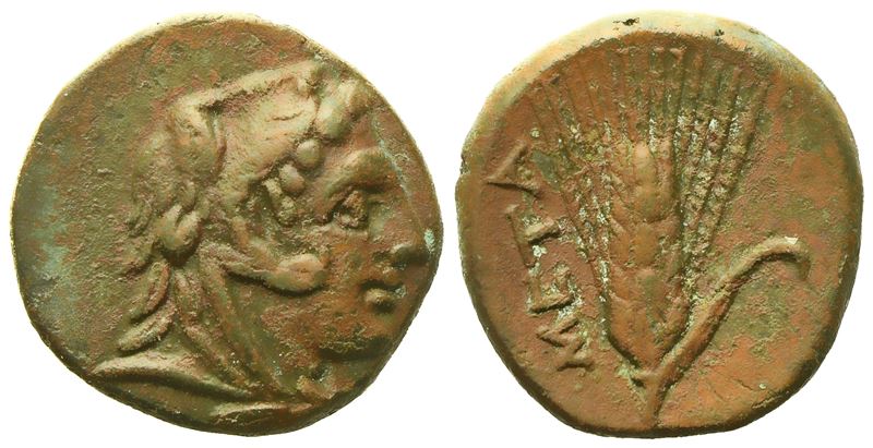 Lucania, Metapontion (C. 300-250 Bc), Æ (2,60 G; 14,2 MM)