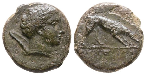 Sicily, Agyrion, c. 338-317 BC. Æ (16 mm, 2.69 g).  - Auction Greek, Roman and Byzantine Coins	 - Bertolami Fine Art - Prague