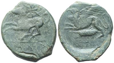 Kainon, Moneta in bronzo con cavallo prancing, c. 360-340 a.C.