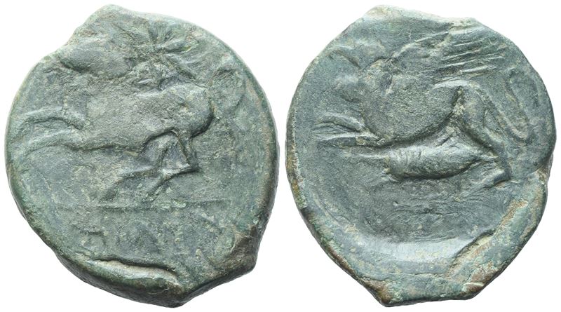 Kainon, Moneta in bronzo con cavallo prancing, c. 360-340 a.C.