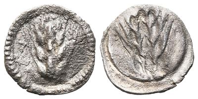 Southern Lucania, Metapontion, C. 540-510 Bc. Ar Obol (11 MM, 0.39 G).