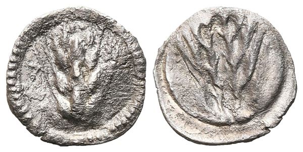 Southern Lucania, Metapontion, c. 540-510 BC. AR Obol (11 mm, 0.39 g).