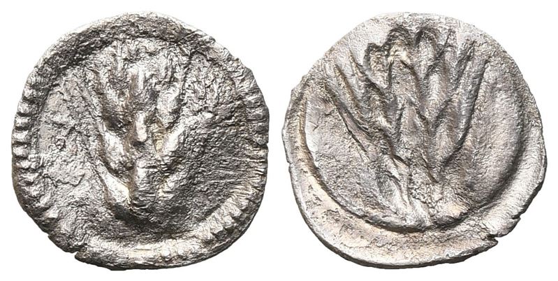 Southern Lucania, Metapontion, C. 540-510 Bc. Ar Obol (11 MM, 0.39 G).