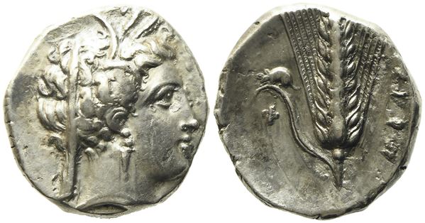 Lucania, Metapontion (c. 340-300 BC), Nomos; AR (7,68 g; 20 mm)