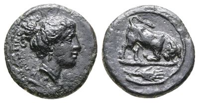 Sicily, Kamarina, C. 339/8-300 Bc. Æ (13 MM, 1.41 G).