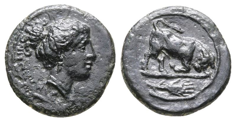 Sicily, Kamarina, C. 339/8-300 Bc. Æ (13 MM, 1.41 G).