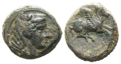 Sicily, Kephaloidion, C. 339/8-307 Bc. Æ (13 MM, 2.34 G).