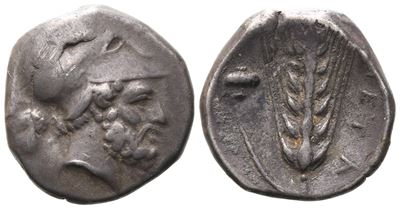 Southern Lucania, Metapontion, C. 340-330 Bc. Ar Stater (21 MM, 7.77 G).